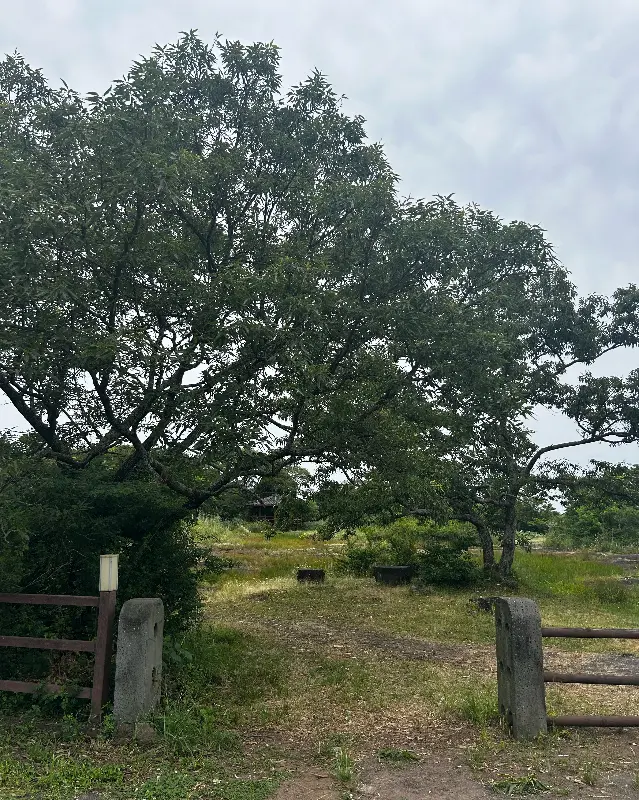 흐린내생태공원