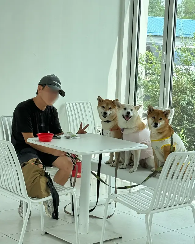 강아지들과 함께 방문한 손님