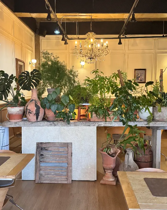 싱그러운 식물 인테리어