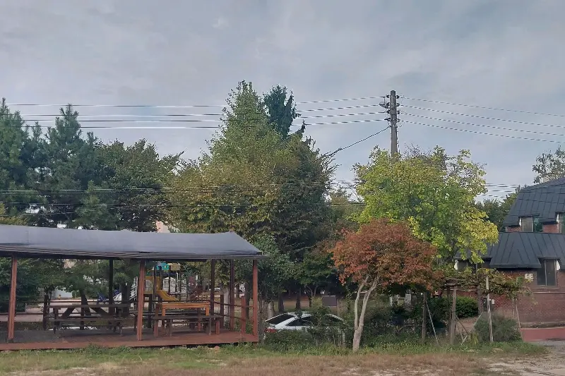 테이블 위에 놓인 베이글과 냅킨