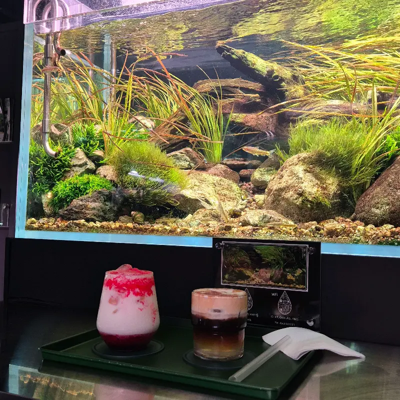 딸기라떼와 시그니처 커피