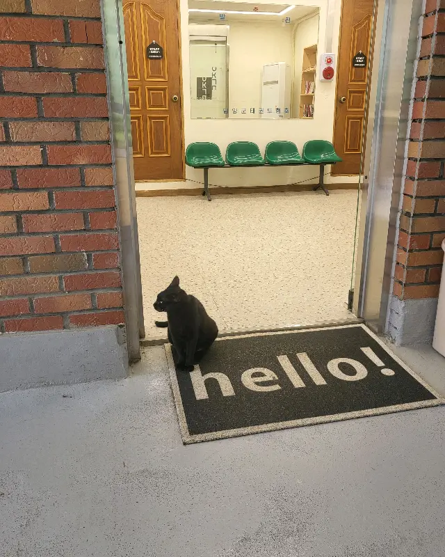 카페 이장님댁 입구