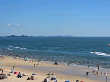 파도 소리가 커피 향에 스미는 곳, 대천해수욕장 오션뷰 감성 맛집 ‘인쇼어’에서 맛보는 낭만