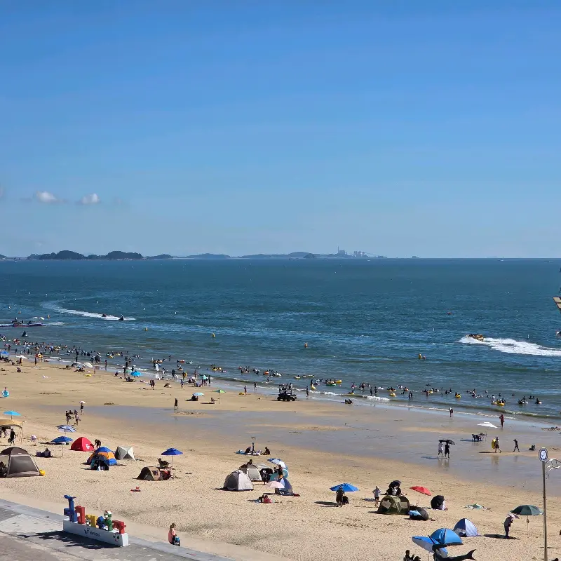 대천해수욕장의 아름다운 전경