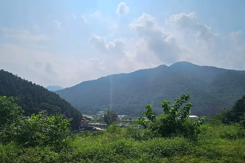 산채촌에서 바라본 진부령 풍경