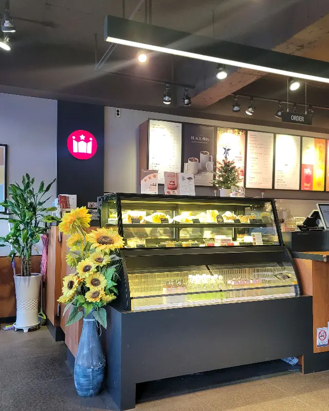 케이크 쇼케이스