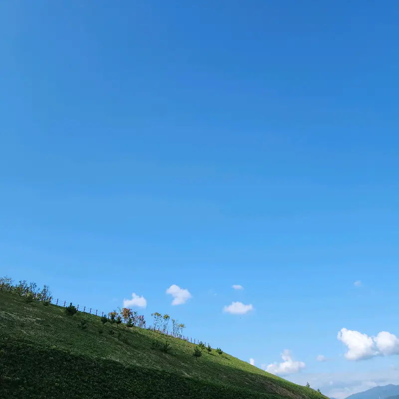 진열대 위의 다양한 베이글들