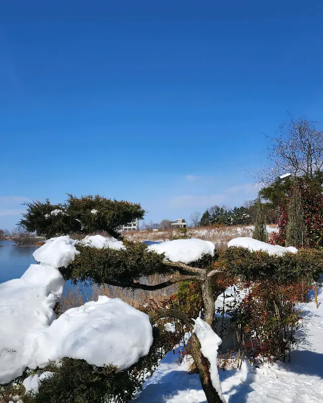 눈 덮인 호숫가 풍경