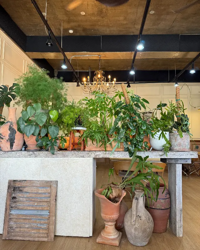 우드톤 인테리어