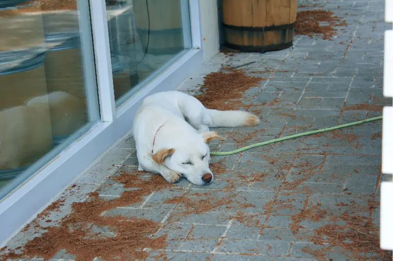 아이와 함께 카페를 방문한 모습