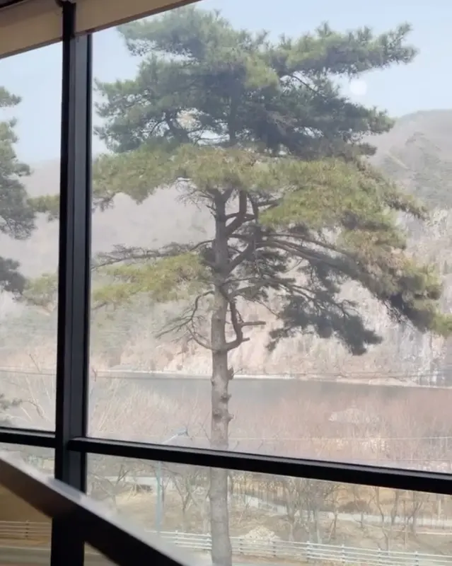 통유리창 너머 보이는 풍경