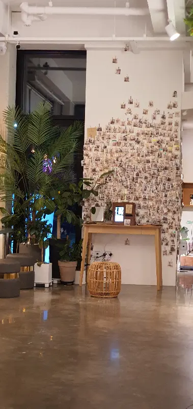 폴라로이드 사진