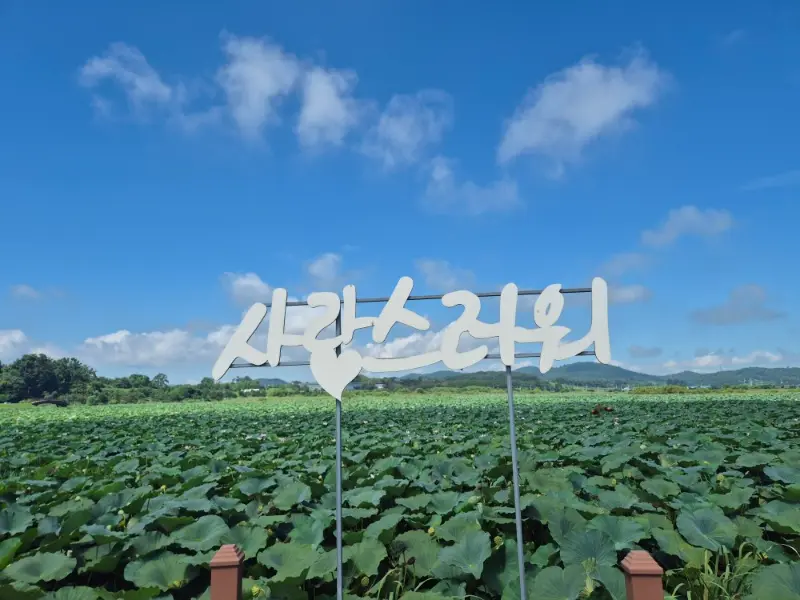 태안의 아름다운 풍경