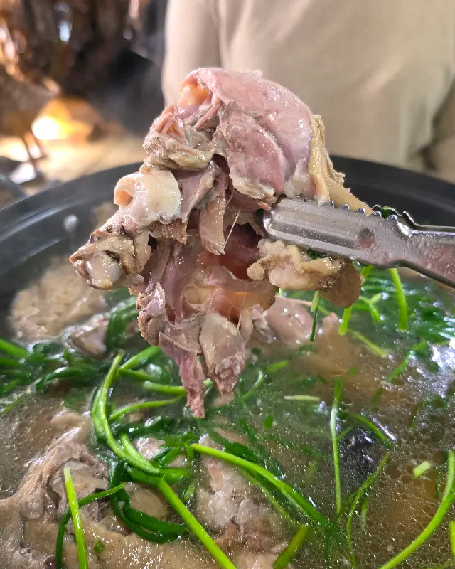 오리고기 한 점