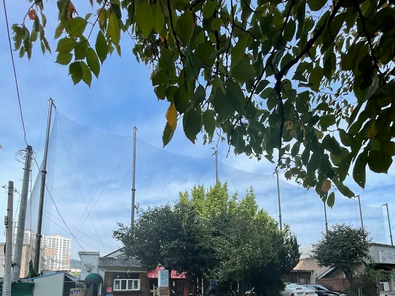 정원 주변 풍경 2