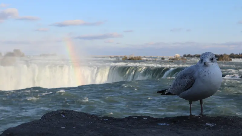 스타벅스 음료와 디저트