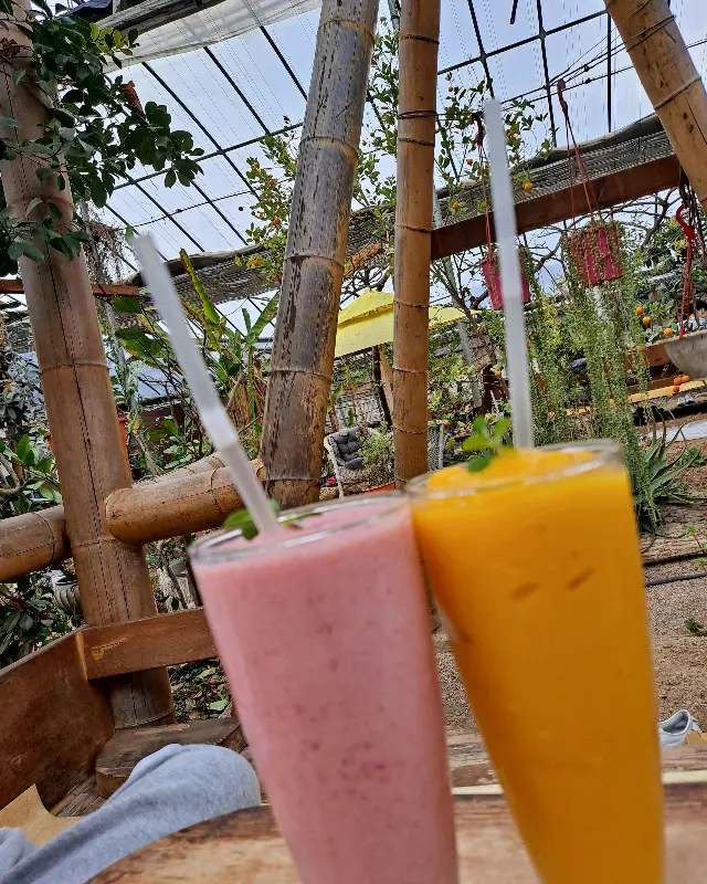 카페 내부의 음료 사진