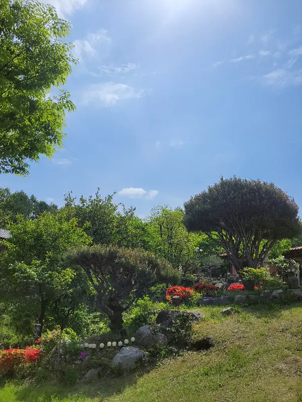 정원의 푸르른 나무와 꽃들이 어우러진 풍경