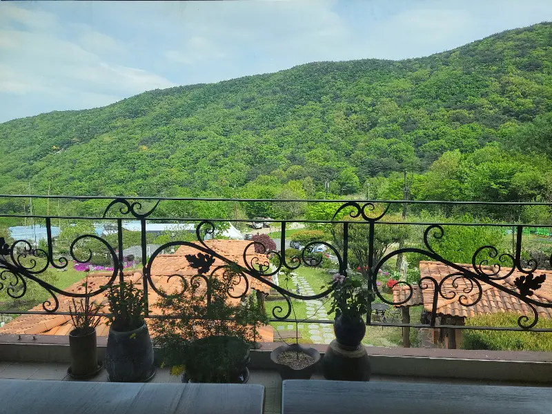 창밖으로 보이는 숲 풍경