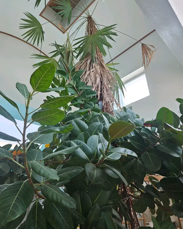 매장 내부 인테리어