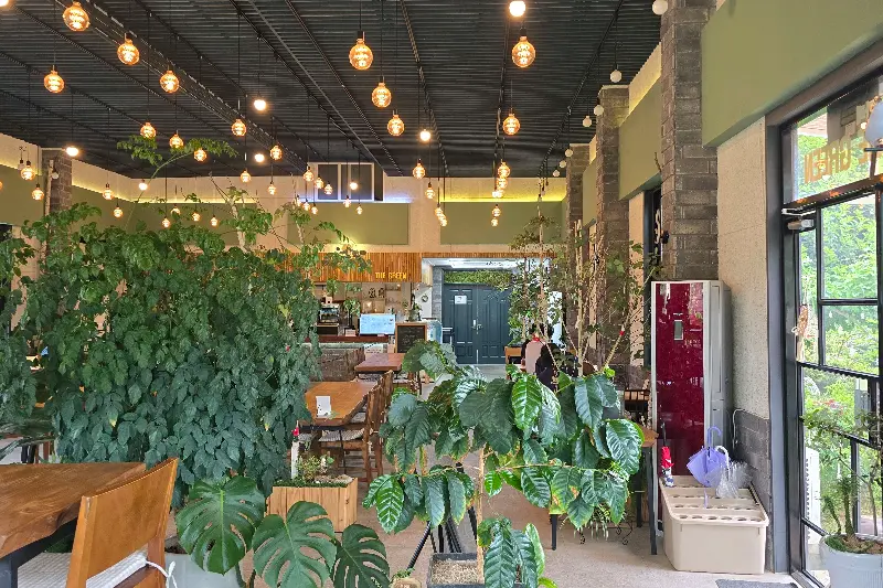 카페더그린 내부 인테리어