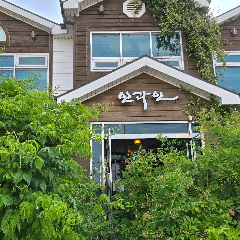 푸른 잎사귀에 둘러싸인 일과인