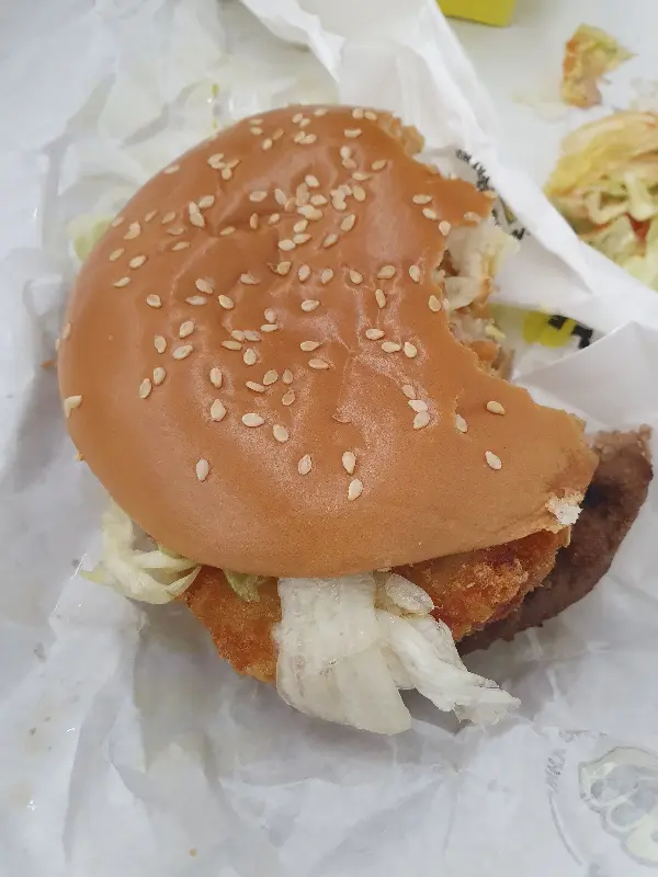 한 입 베어 문 햄버거