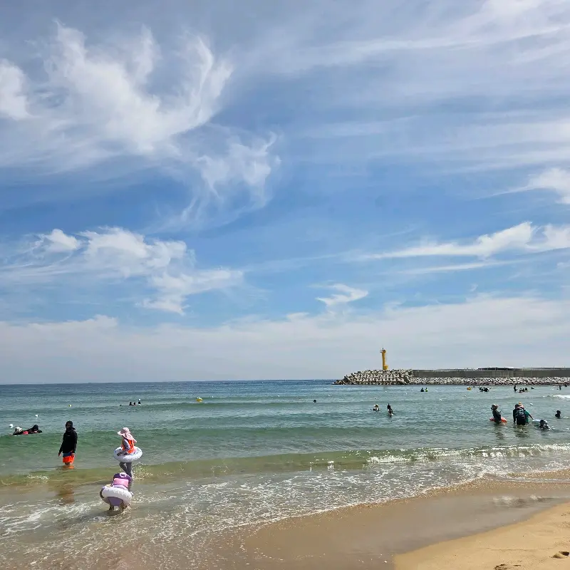 창횟집 근처 바다 풍경