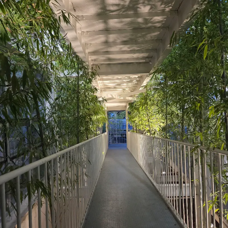 카페 외부 통로