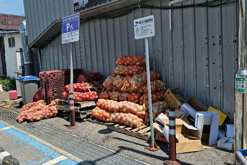 기라성 바로 앞에 있는 하나로마트