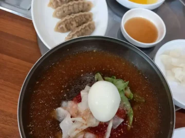 미식 연구원의 과학적 미각 탐험: 금산에서 찾은 냉면의 완벽한 맛, 고래면옥 맛집 탐방기