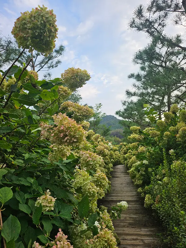 테이블 위에 놓인 김밥