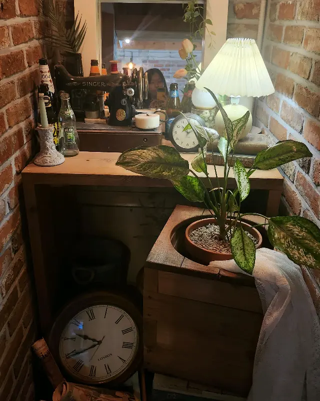카페 내부의 앤티크한 소품