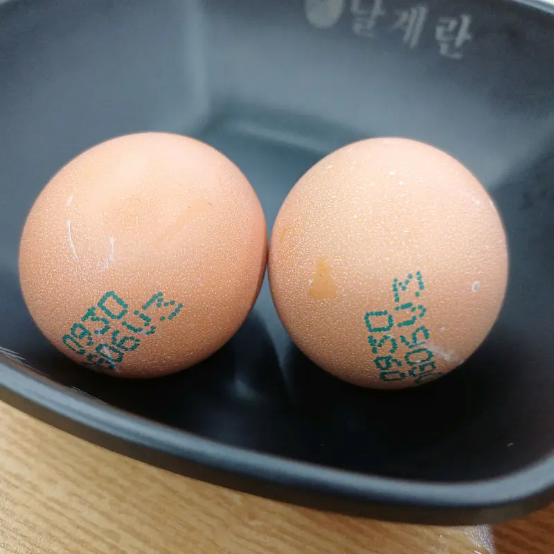 신선한 날계란