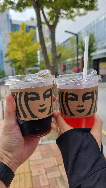 싱그러운 샐러드