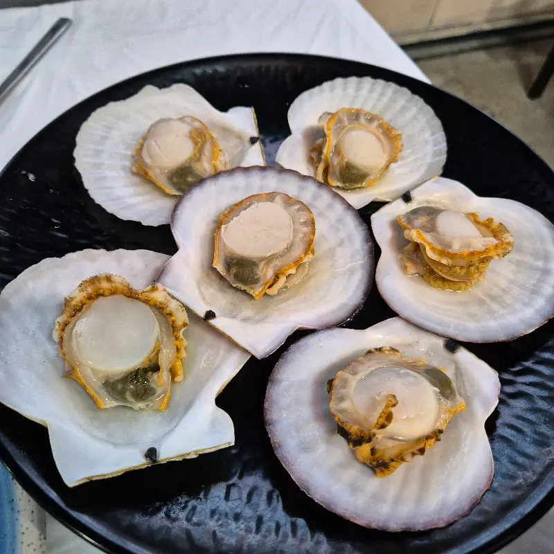 신선하고 큼지막한 가리비