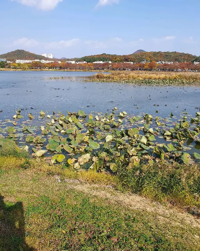 아름다운 안산 호수공원