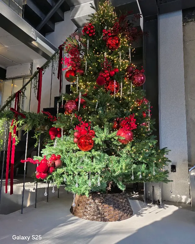 크리스마스 장식