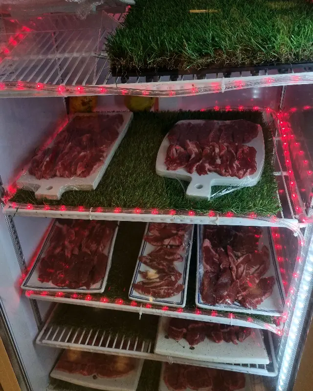 신선한 한우 쇼케이스