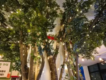 양양 현지인이 인정한 인구해변 인생 맛집, 인구회포차!