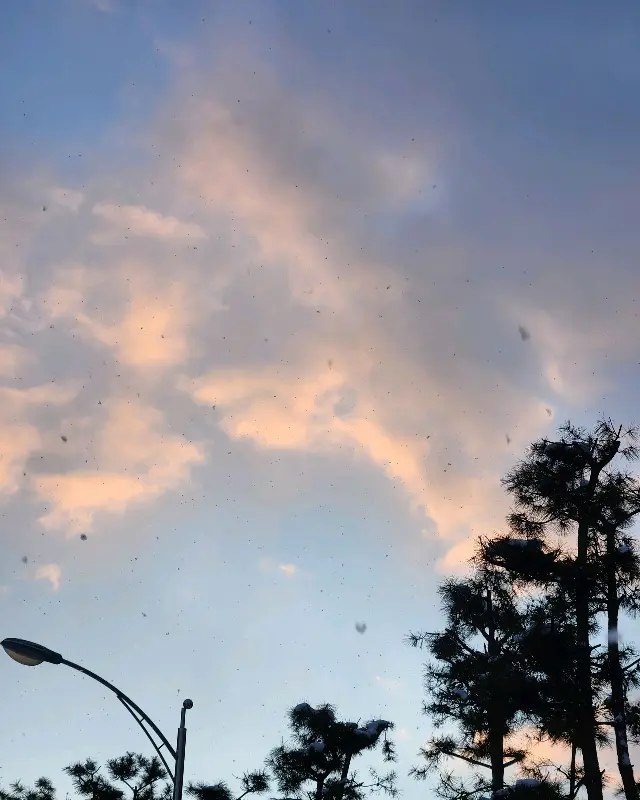 저녁 노을 사진