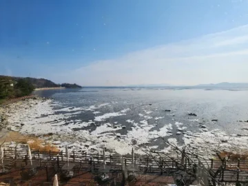 강화도 힙스터들의 성지, 갈릴리에서 맛보는 인생 커피와 황홀한 오션뷰맛집