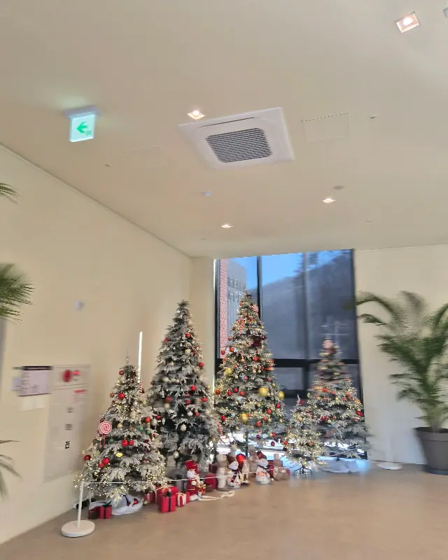 후탄 카페 내부 크리스마스 트리 장식