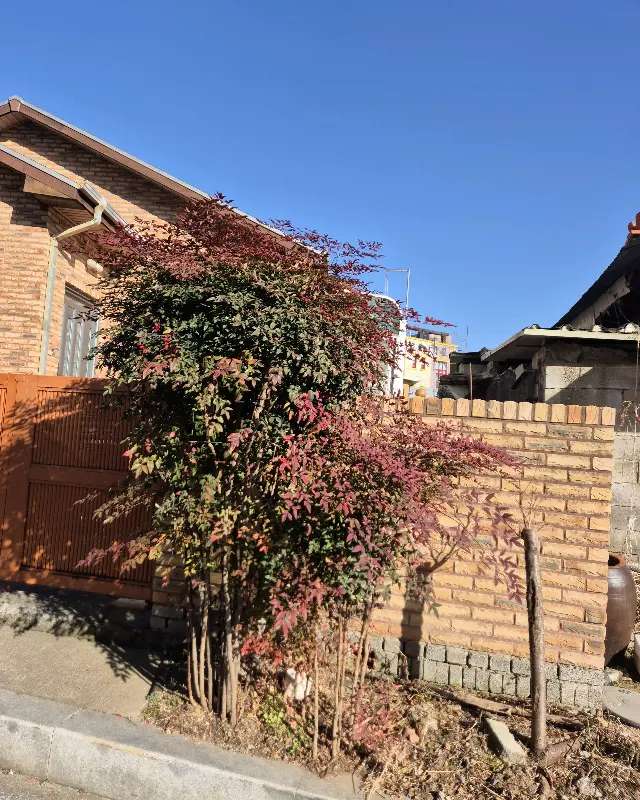 구움당 주변 풍경. 한적하고 조용한 분위기가 인상적이다.