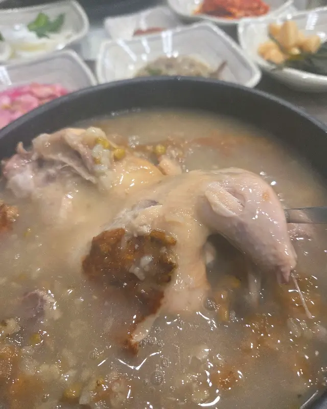 부드러운 닭고기 살점