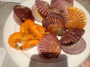 눈과 입이 즐거운 미식 경험, 평택에서 만난 고메스퀘어 비전점 맛집 탐험기