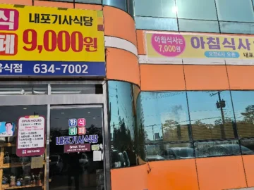 9천 원의 행복, 홍성에서 맛보는 내포기사식당의 푸짐한 인심과 다채로운 맛의 향연 (지역명 맛집)