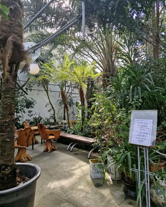 싱그러운 식물원 풍경