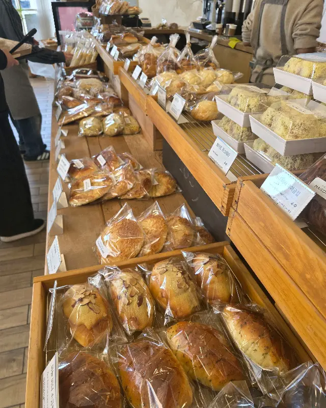 다양한 빵 종류