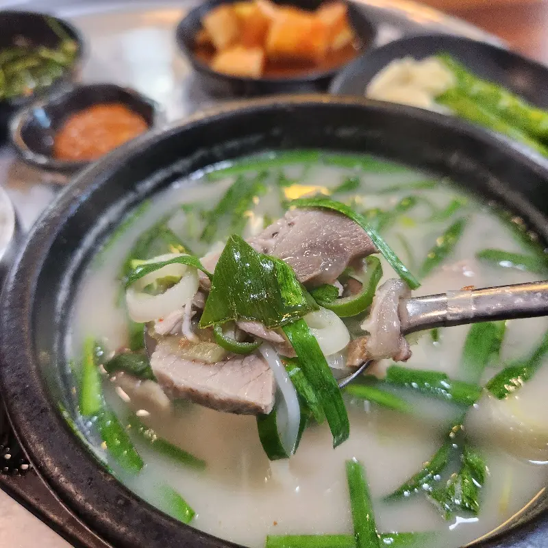 숟가락 위의 푸짐한 건더기